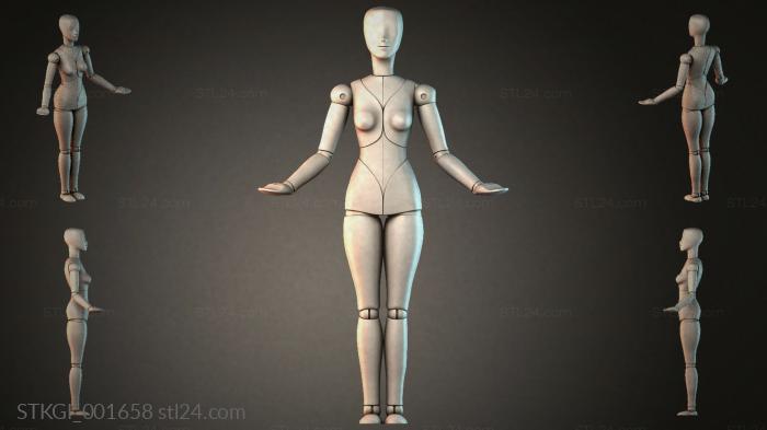 STKGI_001658 3d STL model