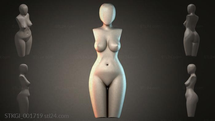 STKGI_001719 3d STL model