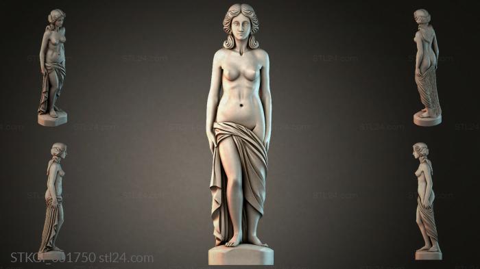 STKGI_001750 3d STL model