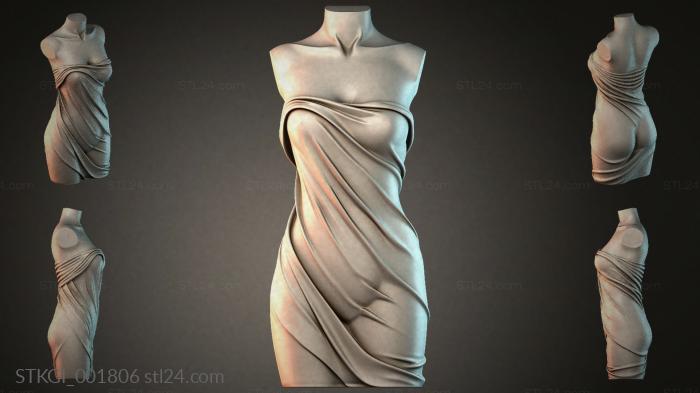 STKGI_001806 3d STL model