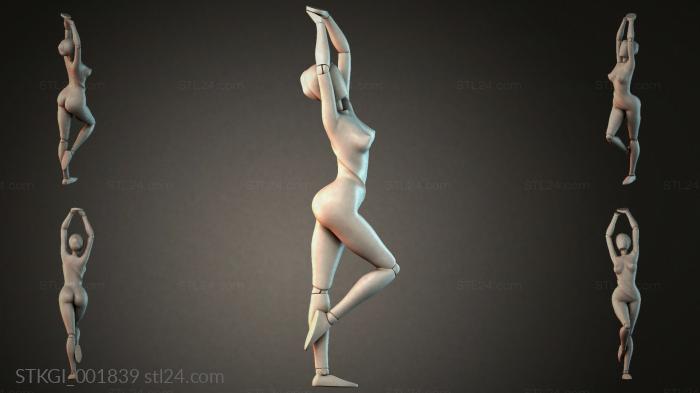 STKGI_001839 3d STL model