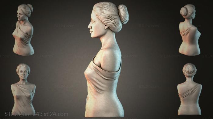 STKGI_001843 3d STL model
