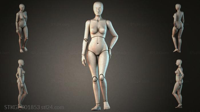 STKGI_001853 3d STL model