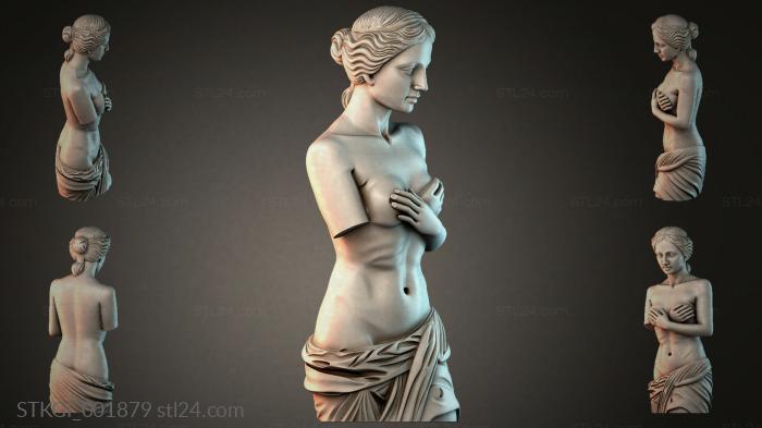 STKGI_001879 3d STL model
