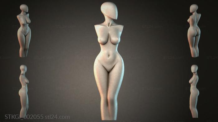STKGI_002055 3d STL model