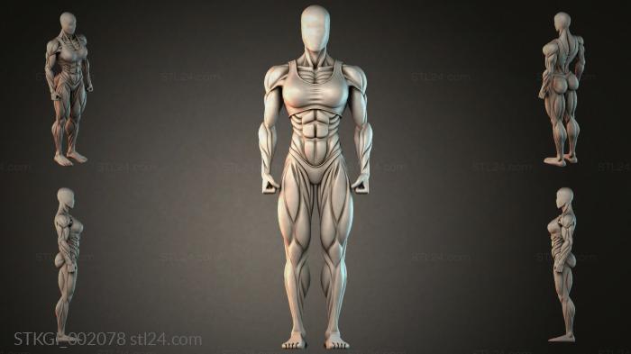 STKGI_002078 3d STL model