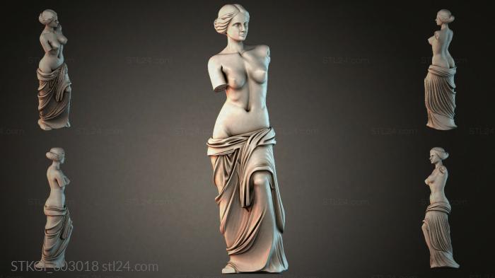STKGI_003018 3d STL model