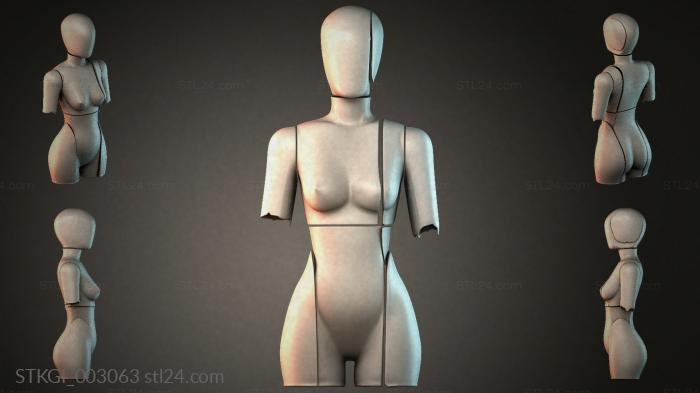 STKGI_003063 3d STL model