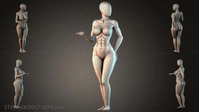 STKGI_003067 3d STL model