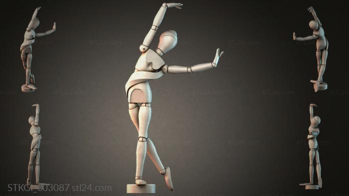STKGI_003087 3d STL model