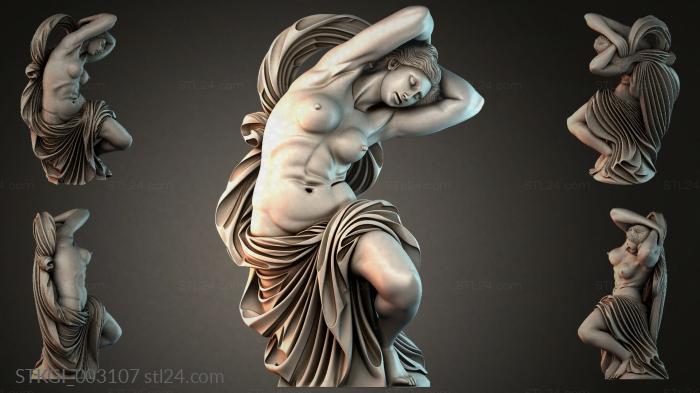 STKGI_003107 3d STL model
