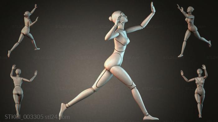 STKGI_003305 3d STL model