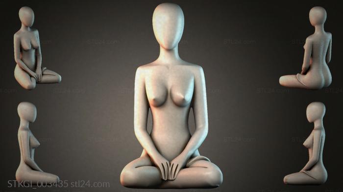 STKGI_003435 3d STL model