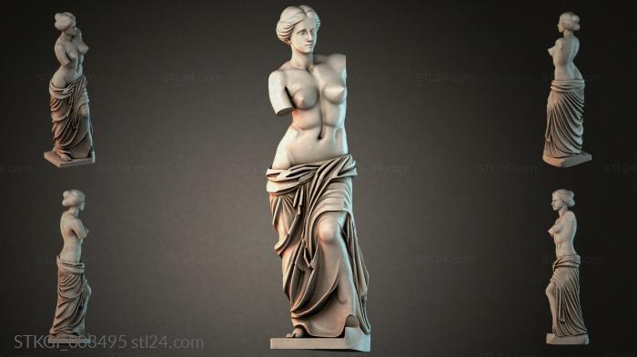 STKGI_003495 3d STL model