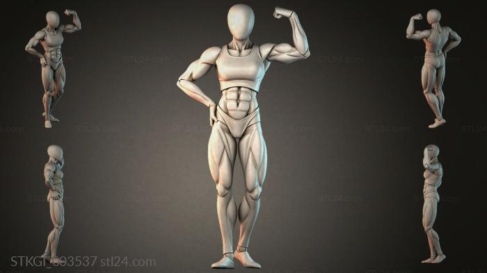 STKGI_003537 3d STL model