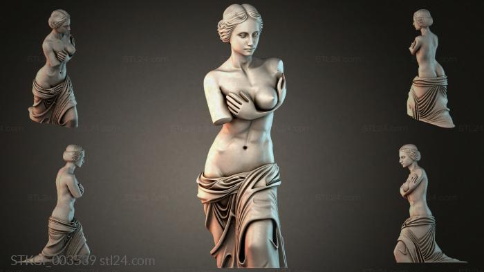 STKGI_003539 3d STL model