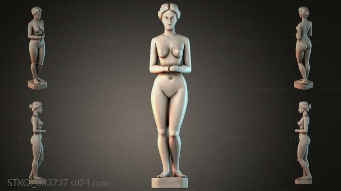 STKGI_003737 3d STL model