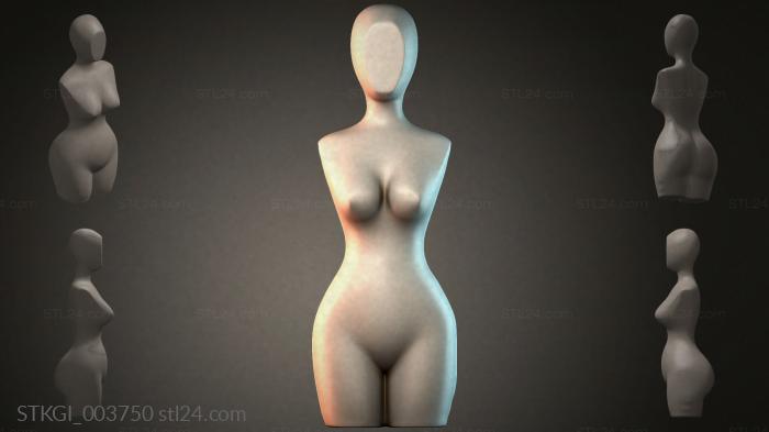 STKGI_003750 3d STL model