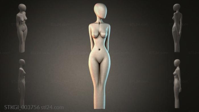 STKGI_003756 3d STL model