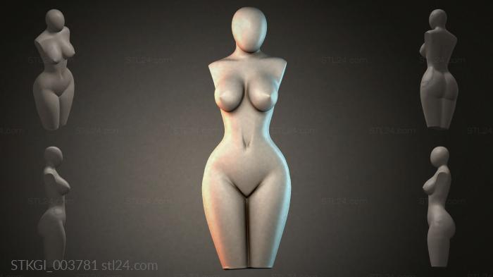 STKGI_003781 3d STL model