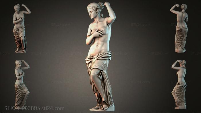 STKGI_003805 3d STL model