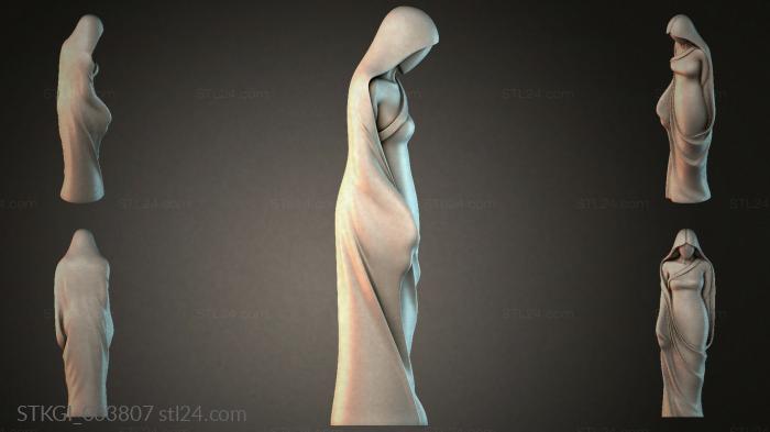 STKGI_003807 3d STL model