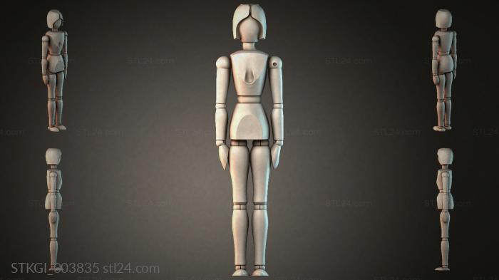 STKGI_003835 3d STL model