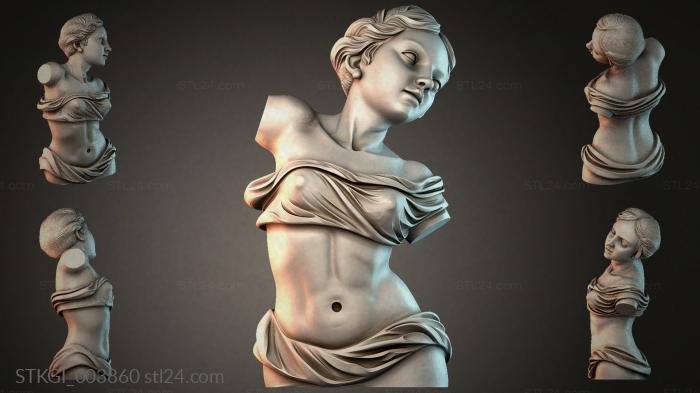 STKGI_003860 3d STL model