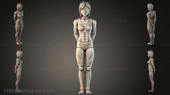 STKGI_003866 3d STL model