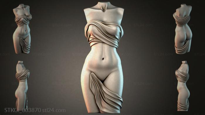 STKGI_003870 3d STL model