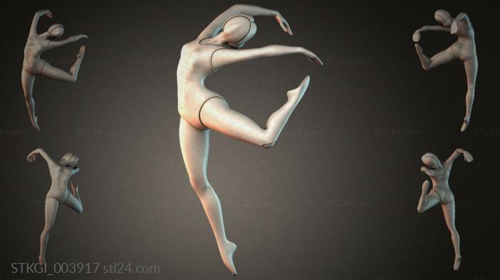 STKGI_003917 3d STL model