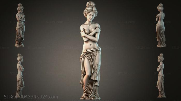 STKGI_004334 3d STL model