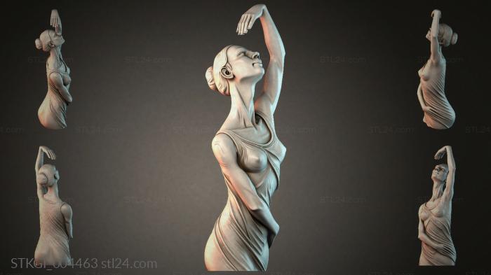 STKGI_004463 3d STL model