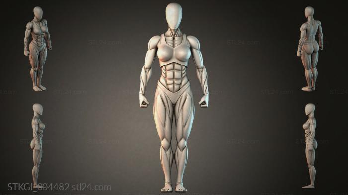 STKGI_004482 3d STL model