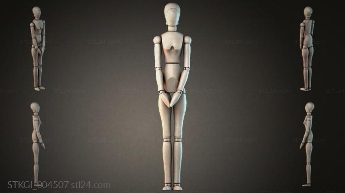 STKGI_004507 3d STL model