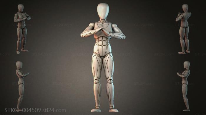 STKGI_004509 3d STL model