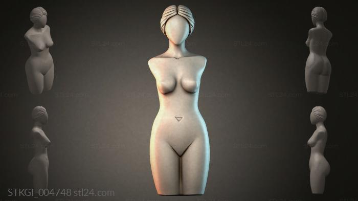 STKGI_004748 3d STL model