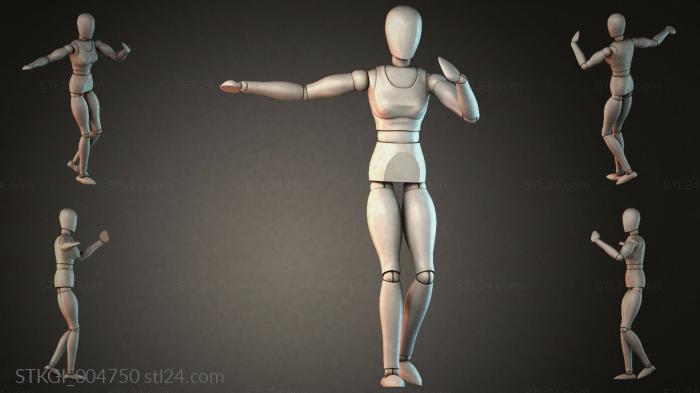 STKGI_004750 3d STL model
