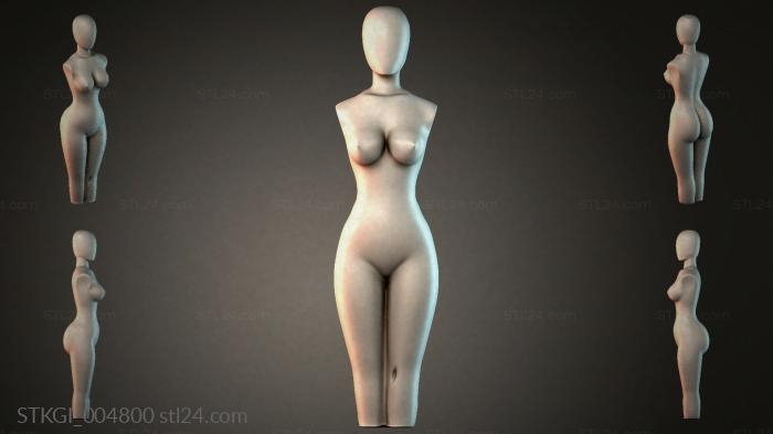 STKGI_004800 3d STL model