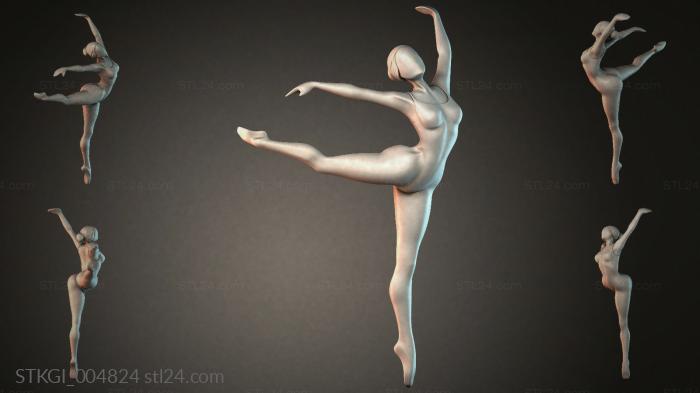 STKGI_004824 3d STL model