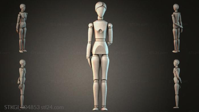 STKGI_004853 3d STL model