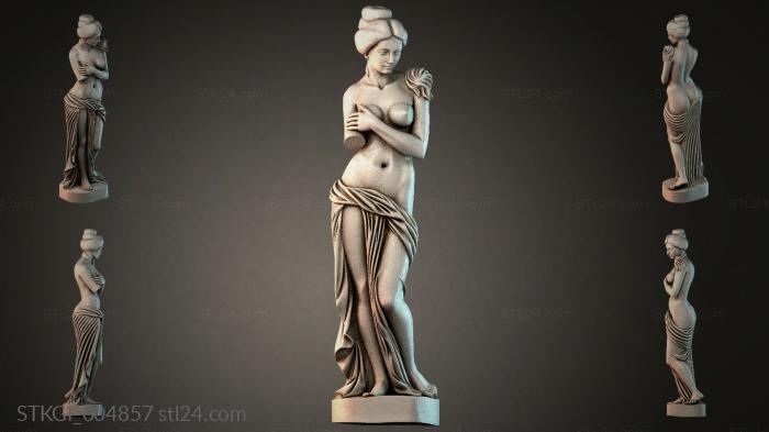 STKGI_004857 3d STL model