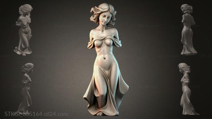 STKGI_005164 3d STL model