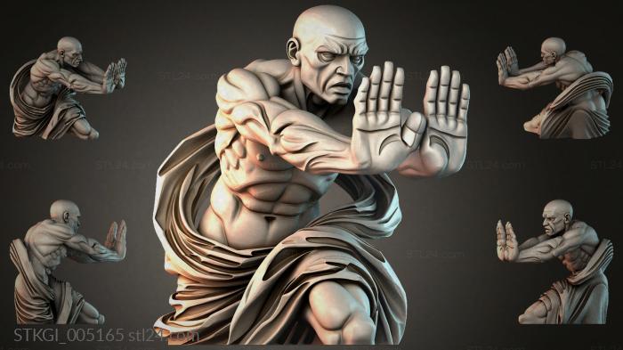 STKGI_005165 3d STL model