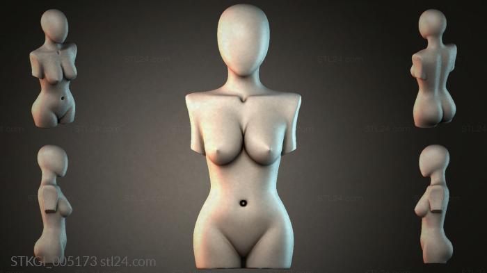 STKGI_005173 3d STL model