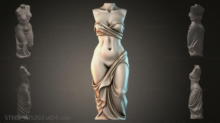 STKGI_005203 3d STL model