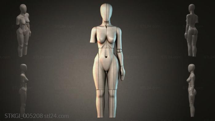 STKGI_005208 3d STL model