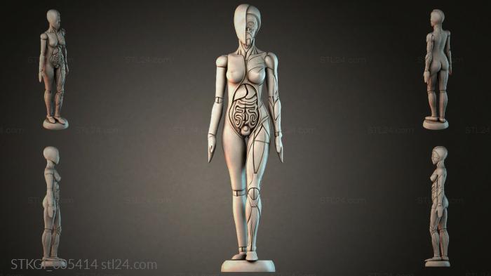 STKGI_005414 3d STL model