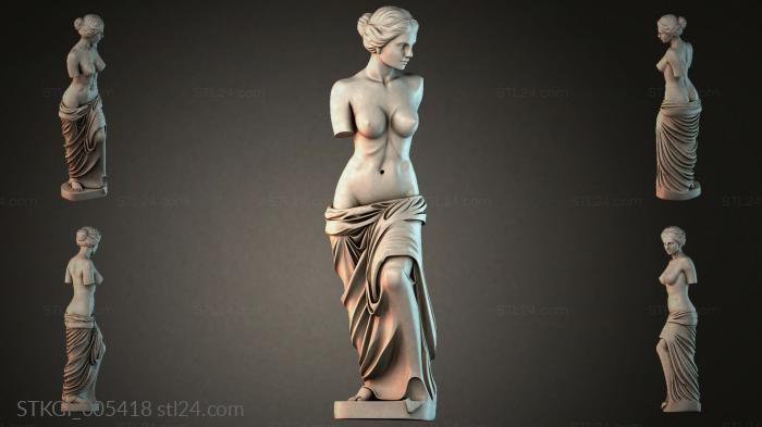 STKGI_005418 3d STL model