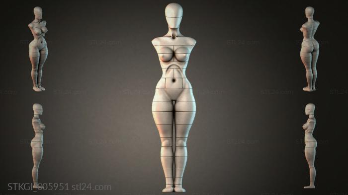 STKGI_005951 3d STL model